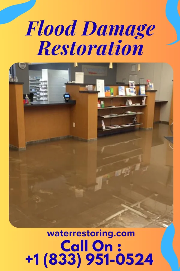 Flood Damage Restoration in Norwood, OH