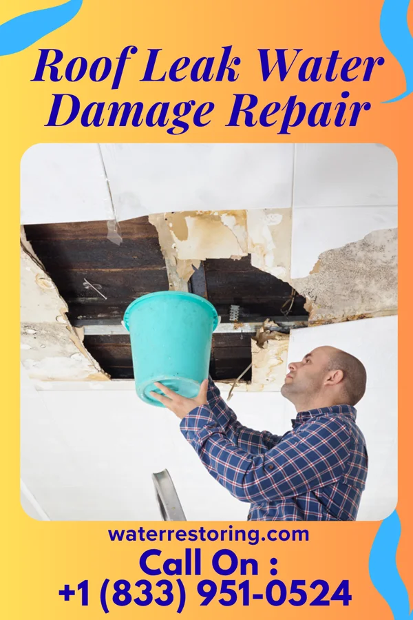 Roof Leak Water Damage Repair in Norwood, OH