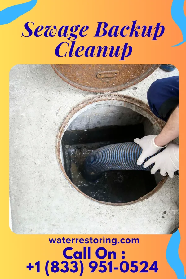 Sewage Backup Cleanup in Norwood, OH