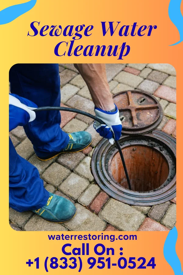 Sewage Water Cleanup in Norwood, OH
