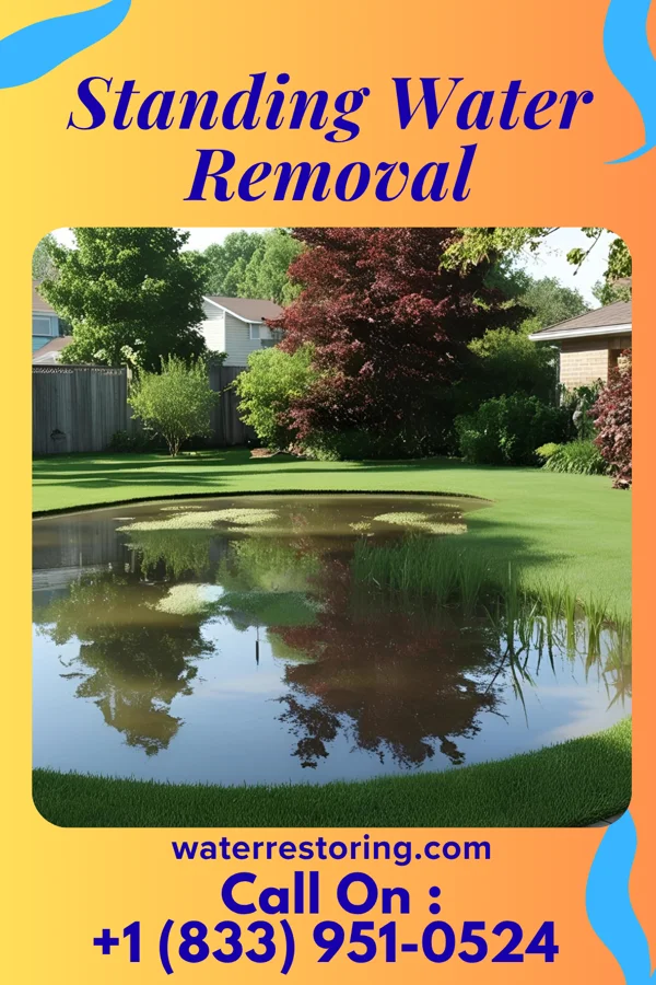 Standing Water Removal in Norwood, OH